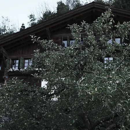 Haus Mannenberg *