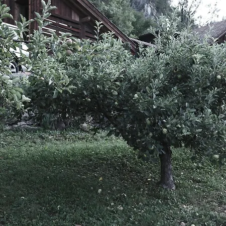Bed and breakfast Haus Mannenberg Zweisimmen