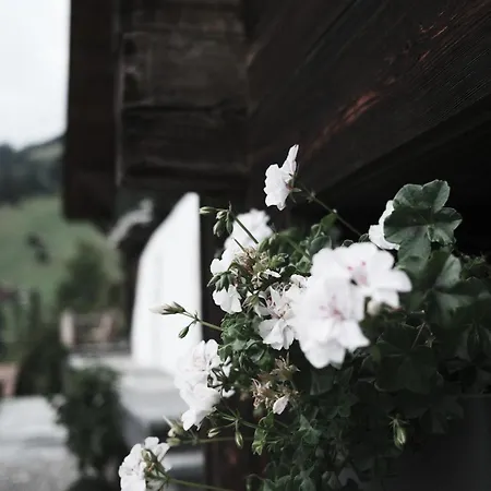 Haus Mannenberg * Zweisimmen